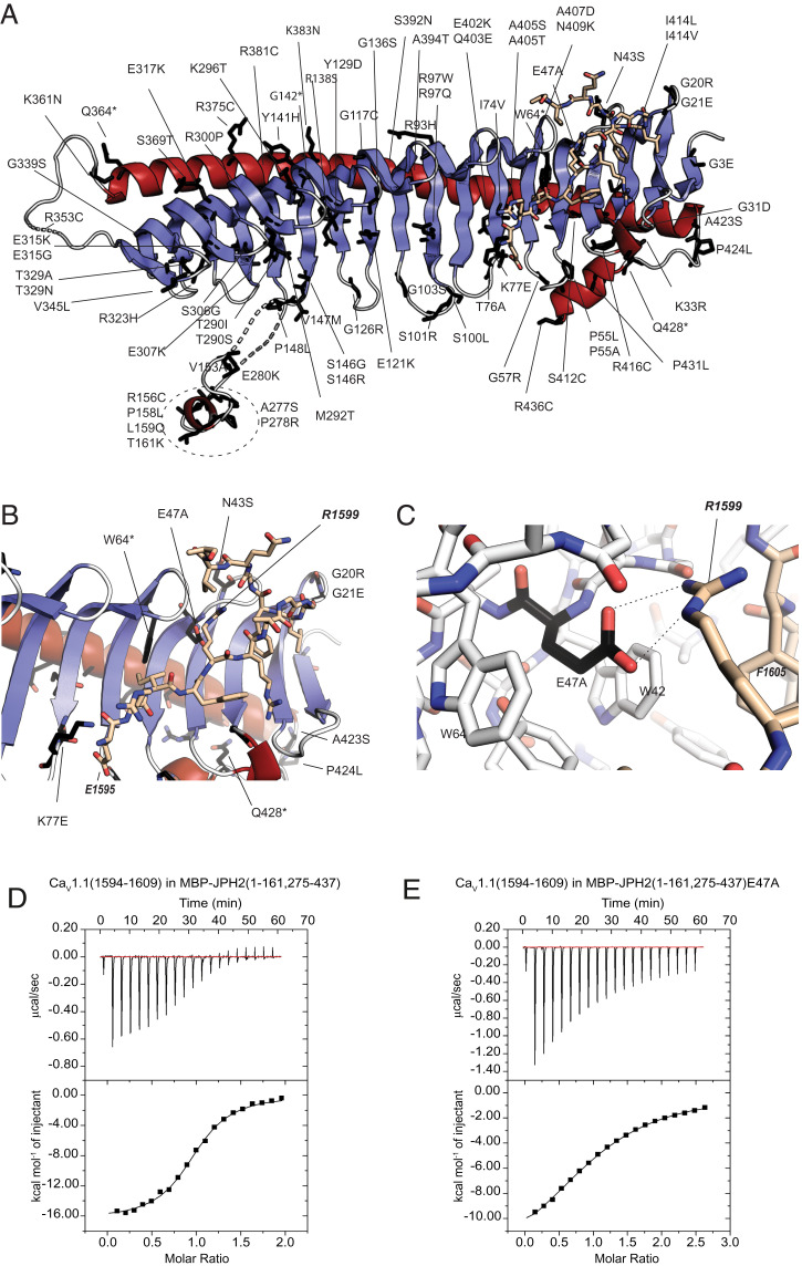 Fig. 4.