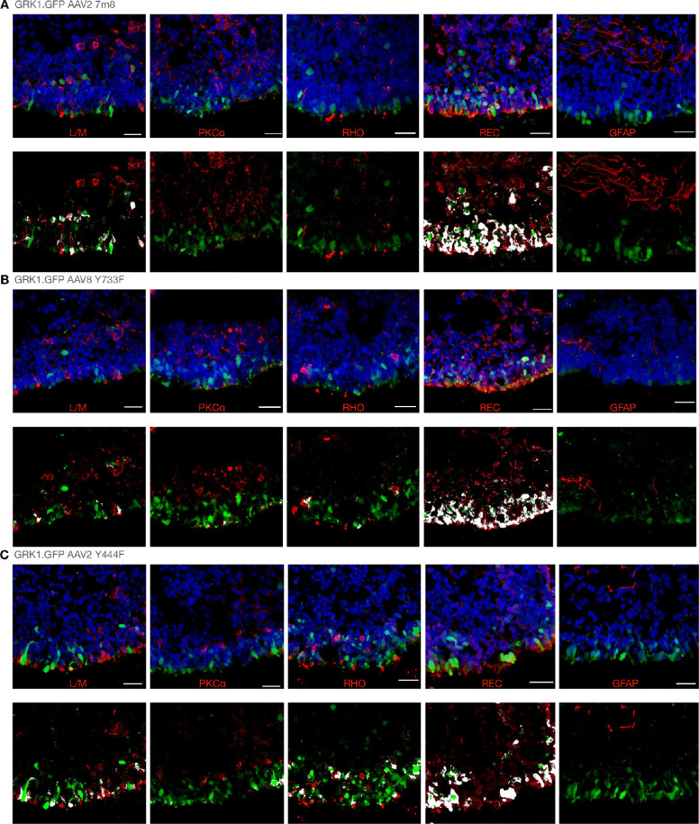 Figure 4.