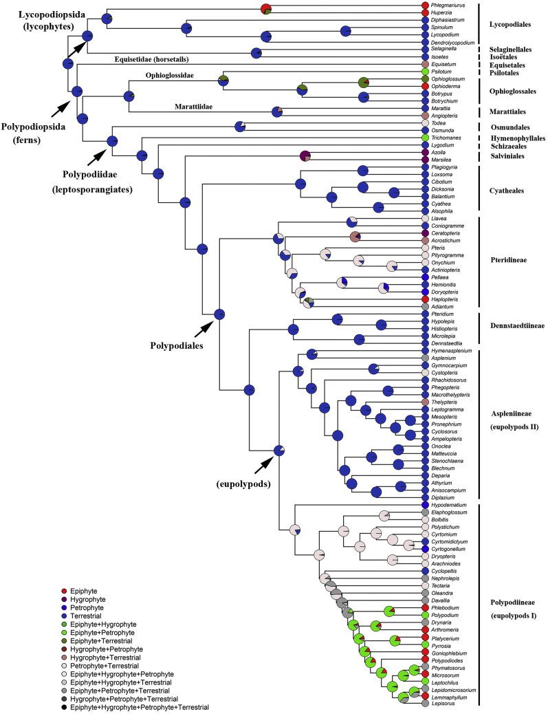 Fig. 6