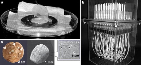 Fig. 2