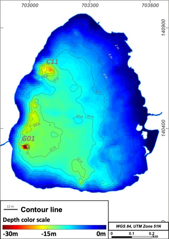 Figure 3