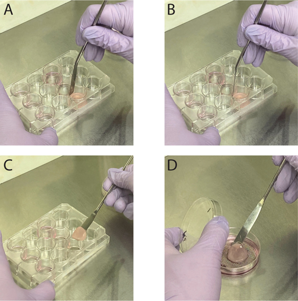 Figure 4.