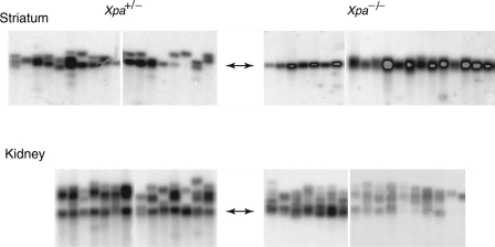 Figure 3.