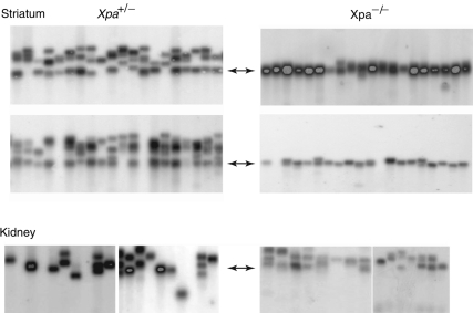 Figure 2.