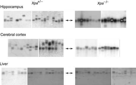 Figure 4.