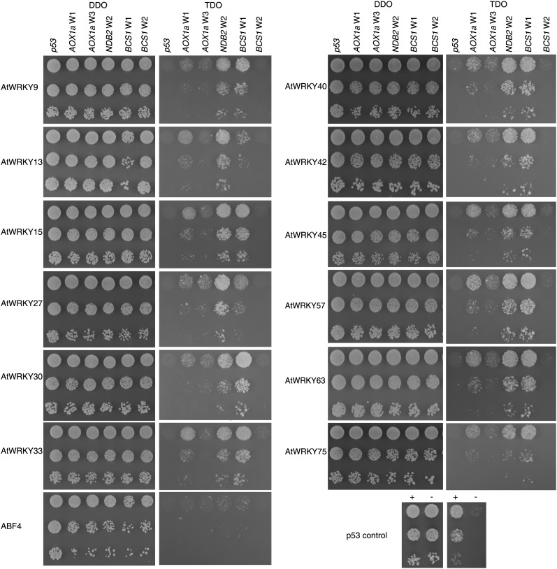 Figure 2.