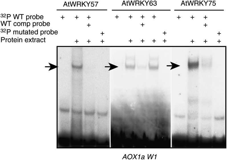 Figure 3.