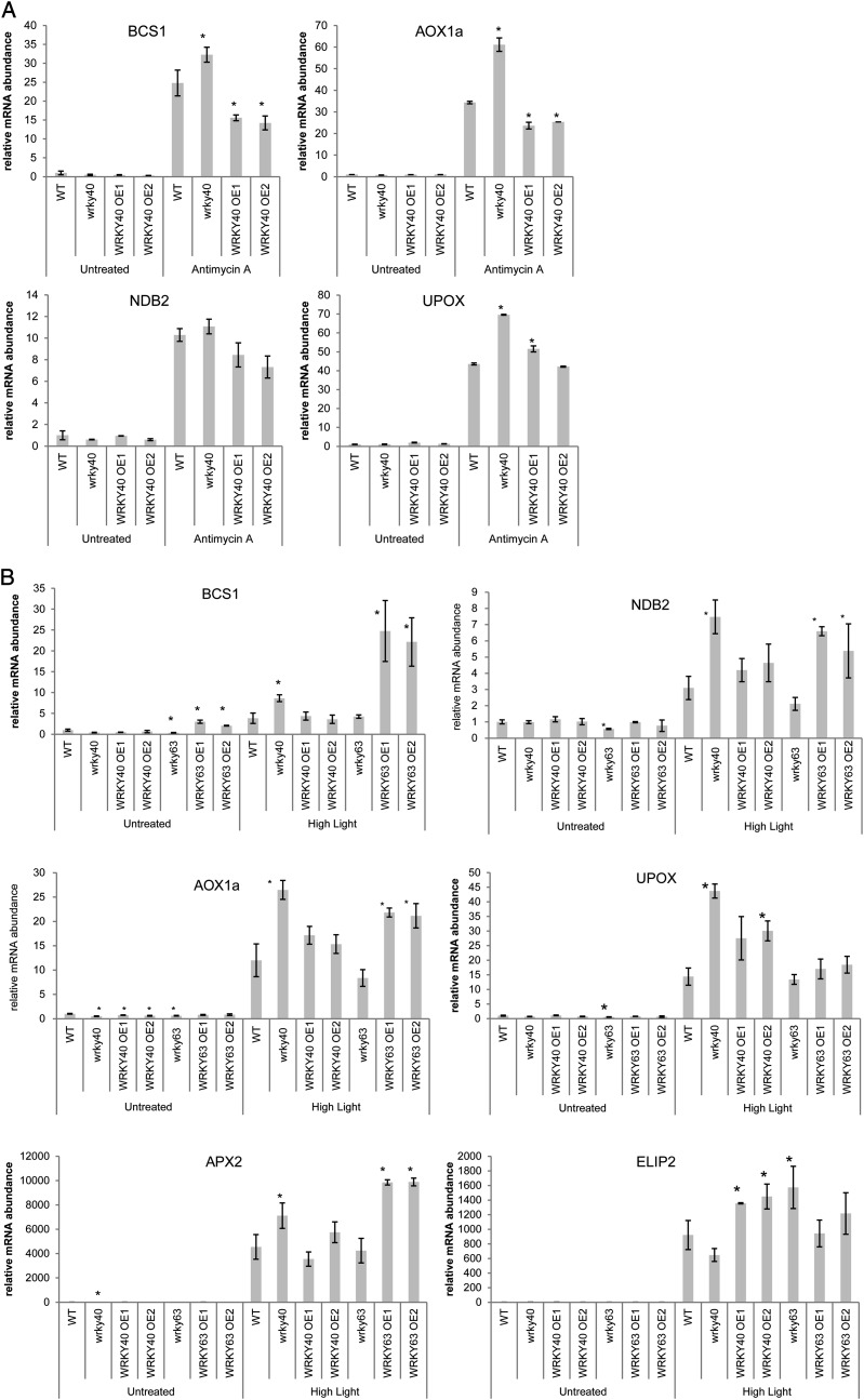 Figure 5.