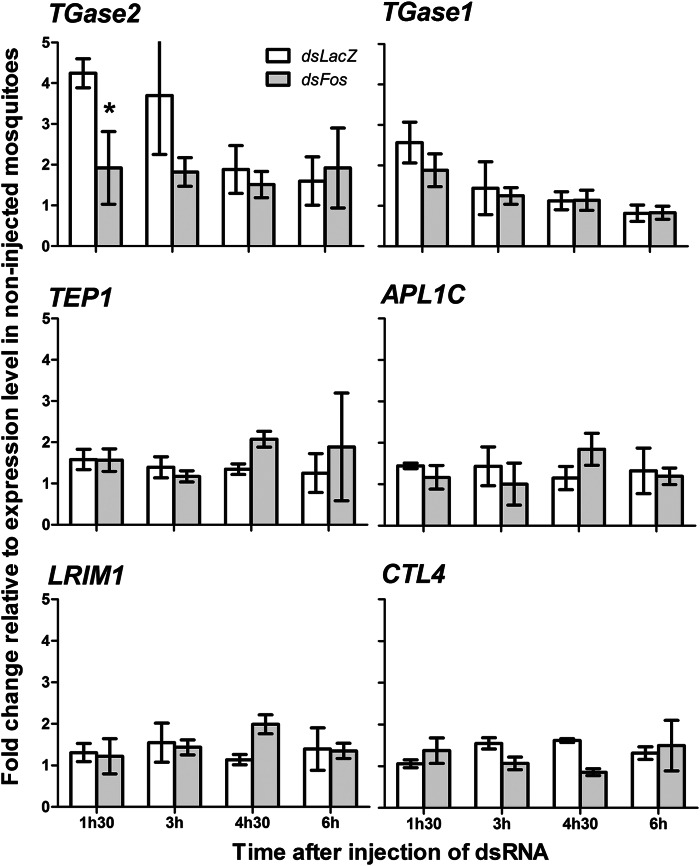 FIGURE 3.