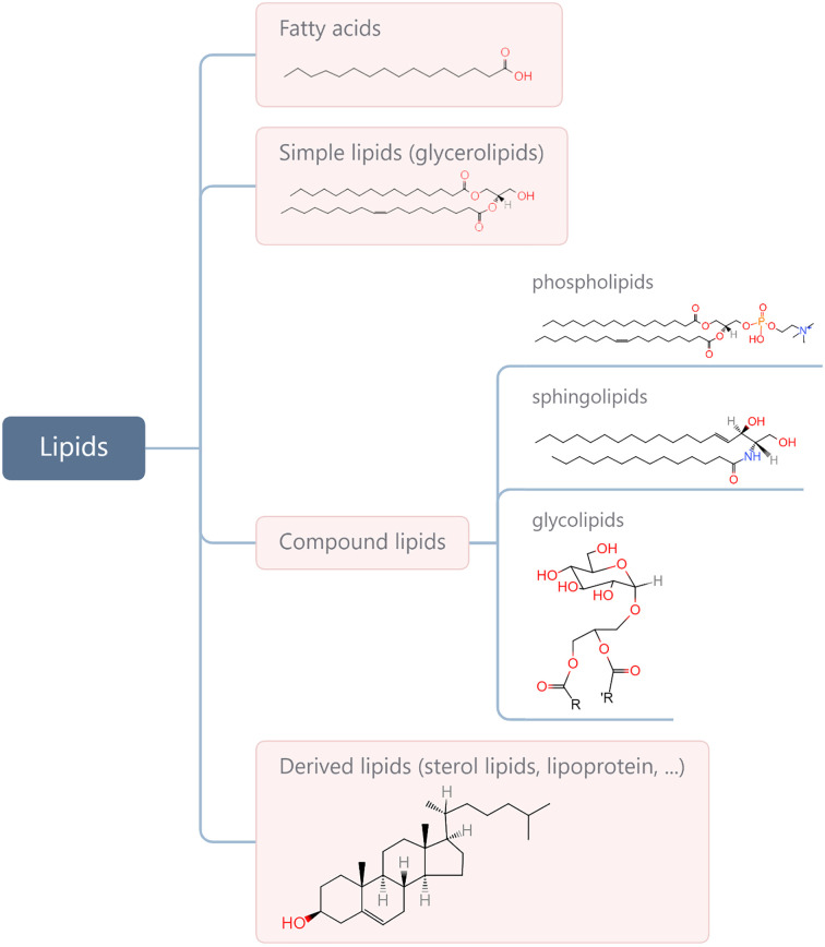 Figure 1