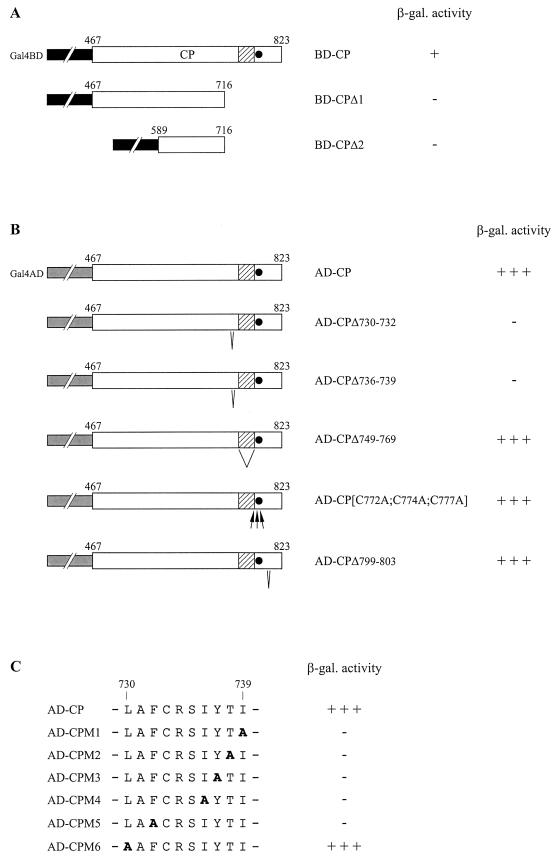 FIG. 5