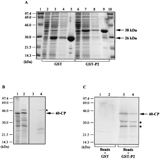 FIG. 3