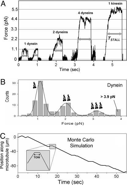 Fig. 3.