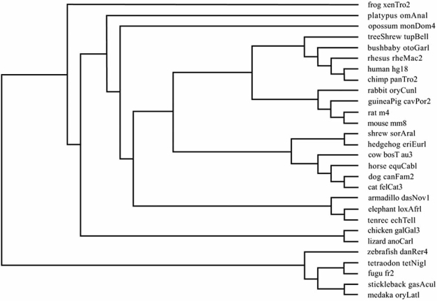 Fig. (1)