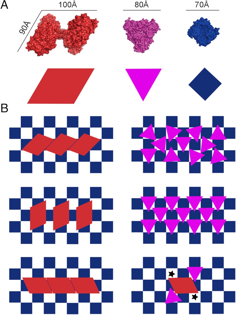 Fig. 3.