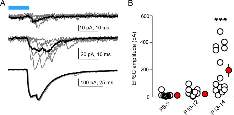 Figure 3—figure supplement 1.