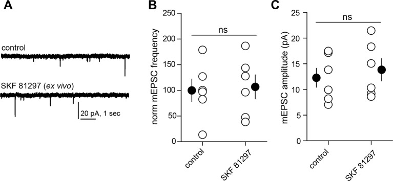 Figure 1—figure supplement 1.