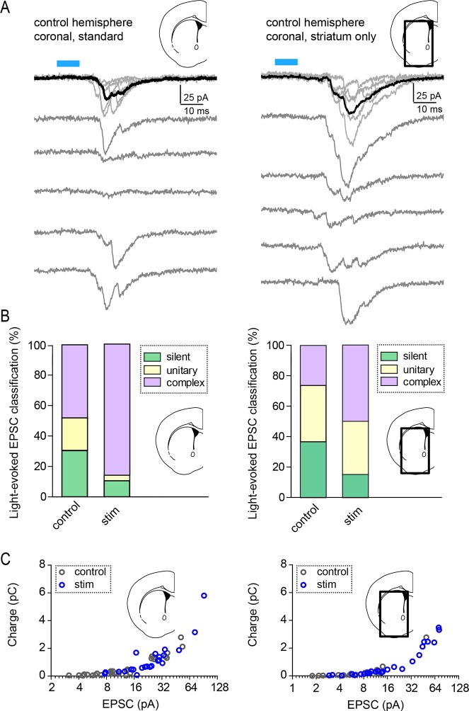 Figure 4—figure supplement 1.