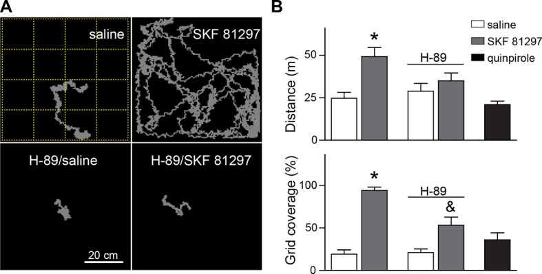 Figure 1—figure supplement 2.