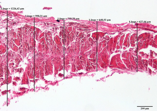 Fig. 4