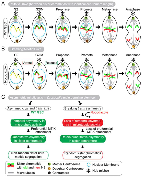 Figure 2: