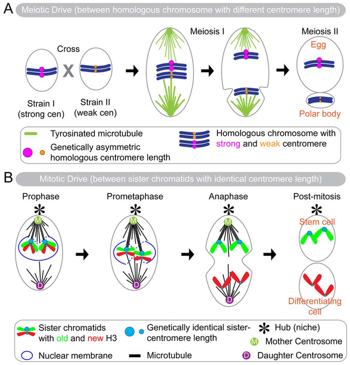 Figure 3: