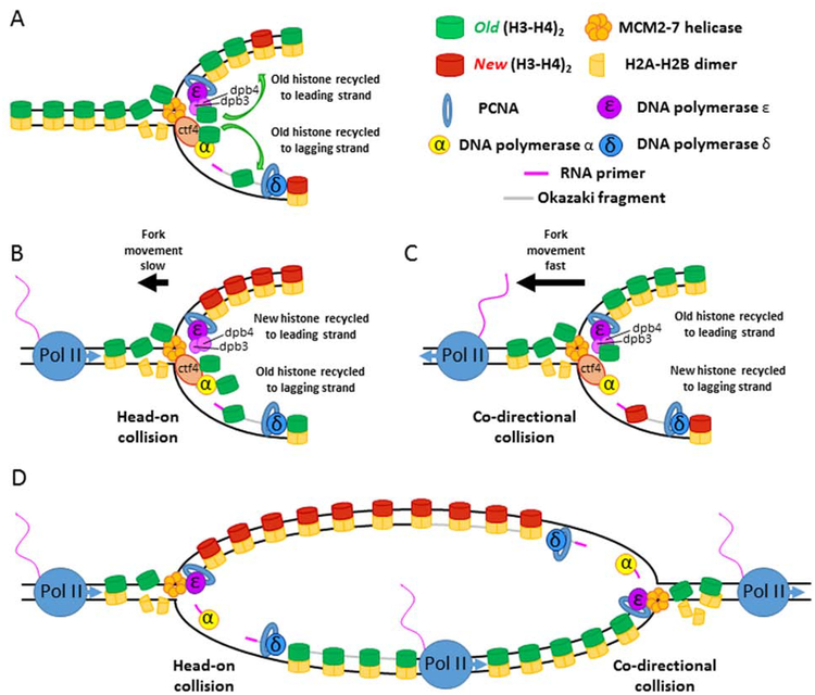 Figure 1: