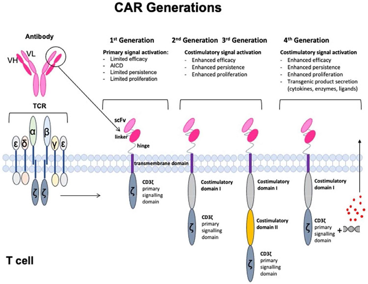 Figure 1: