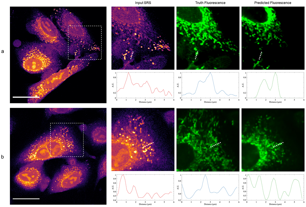 Extended Data Fig. 4: