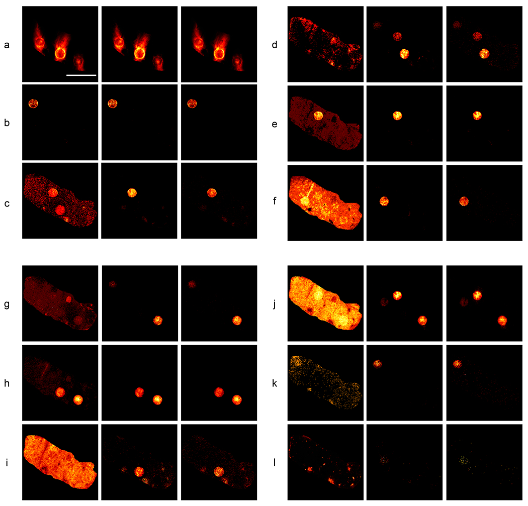 Fig. 2: