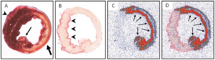 Fig 4