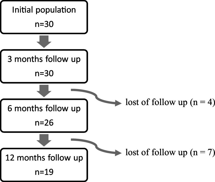 Fig. 1