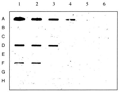 FIG. 6