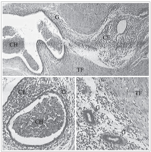 Figure 2.