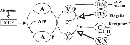 FIG. 5.