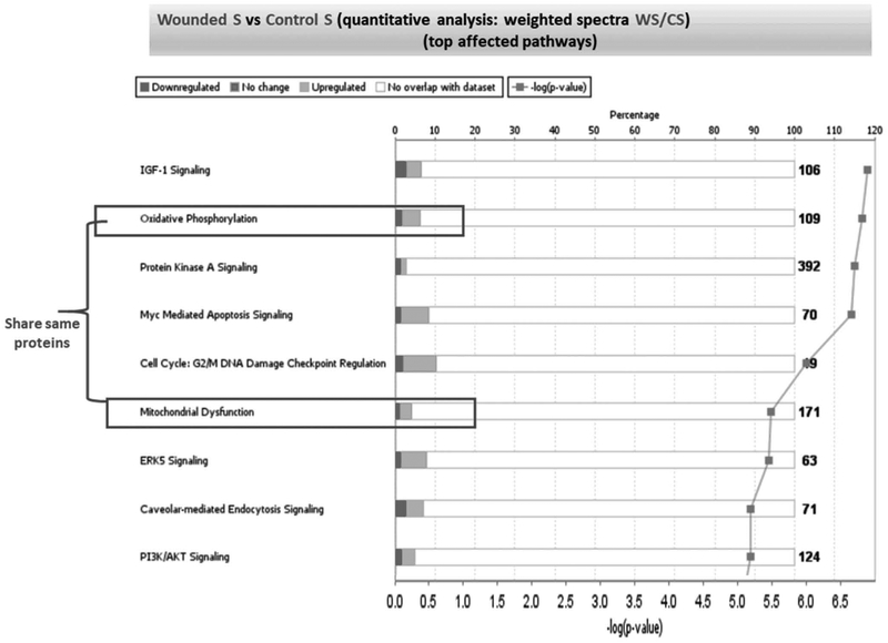 Figure 7: