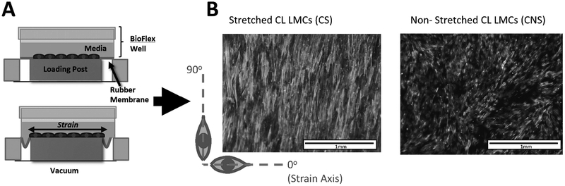 Figure 1: