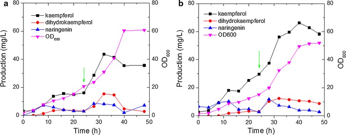 Fig. 4