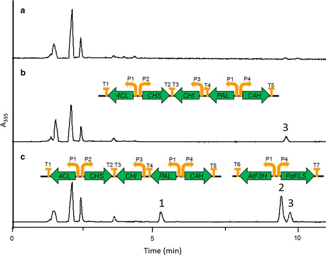 Fig. 2