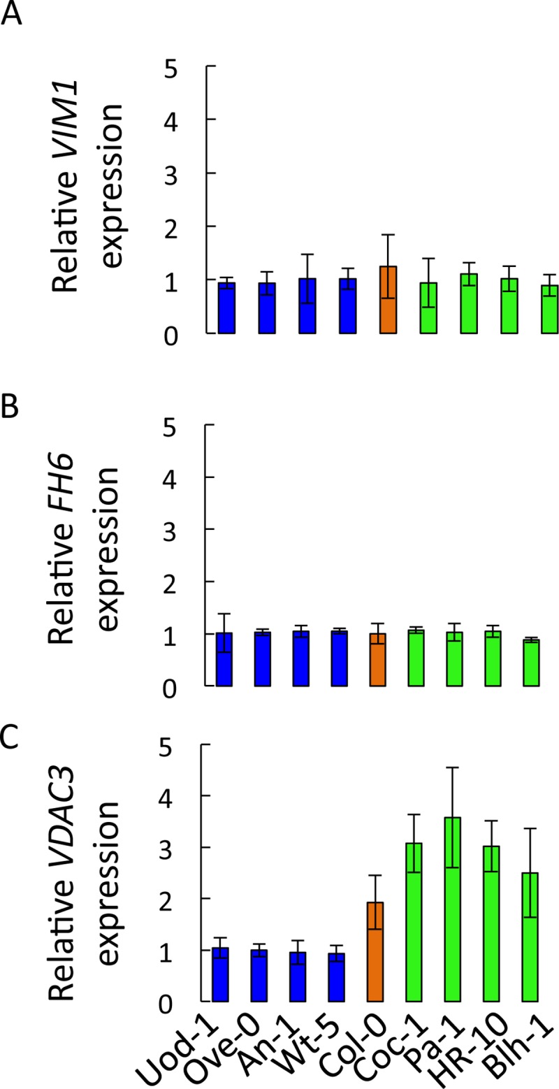 Fig 10