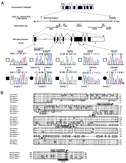 Figure  2