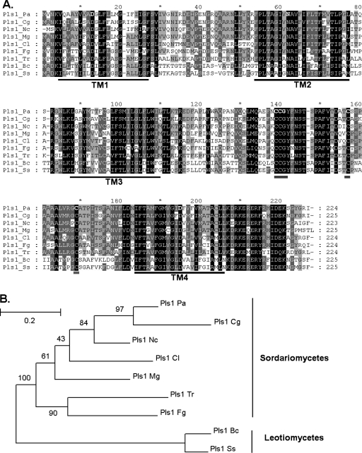 FIG. 1.