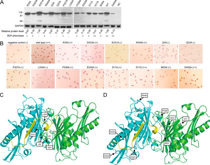 FIGURE 3.