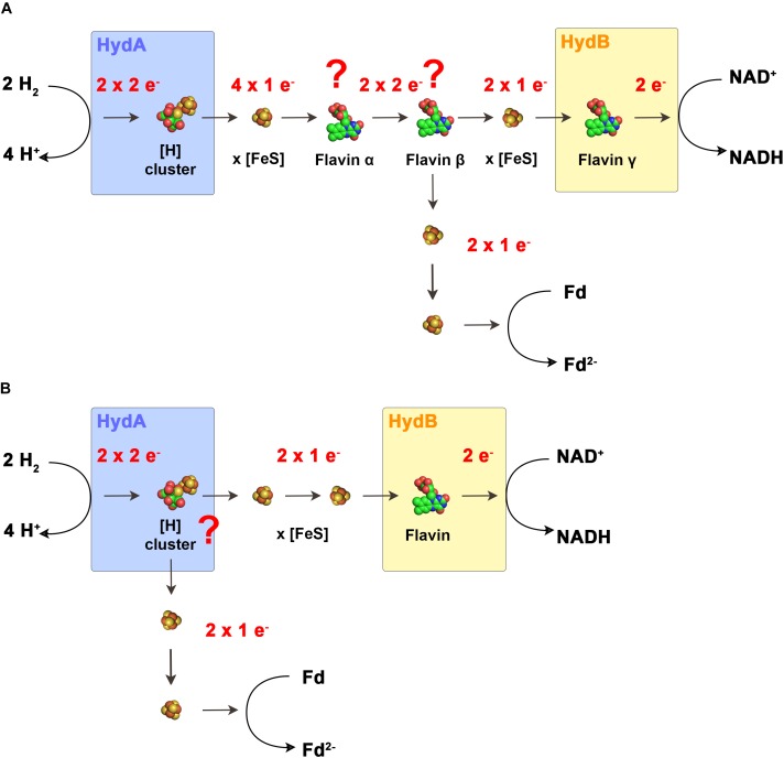 FIGURE 4