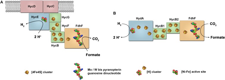 FIGURE 6