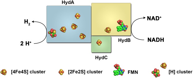 FIGURE 5