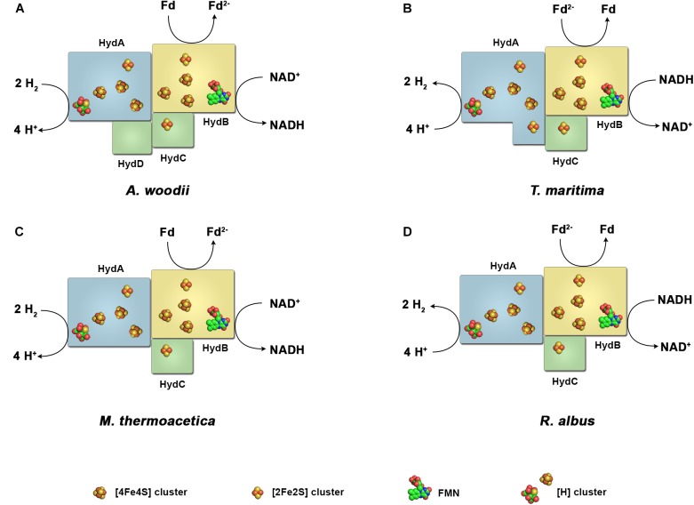 FIGURE 2