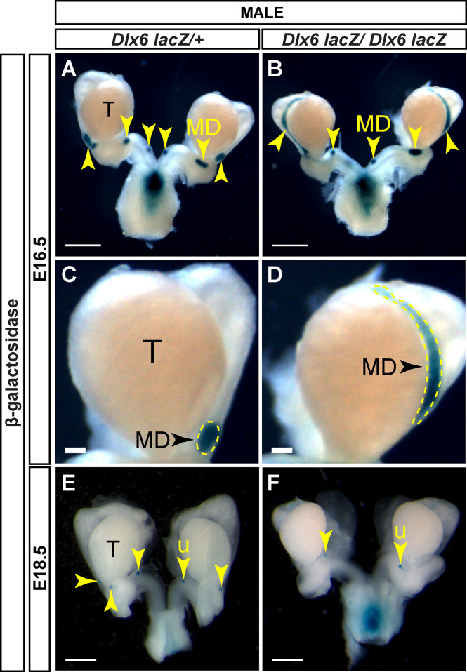 Figure 6