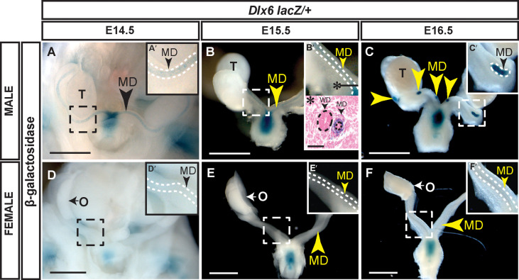 Figure 2