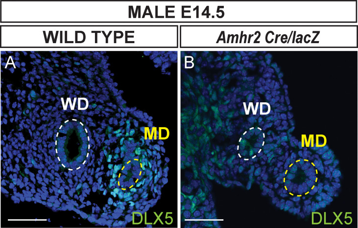 Figure 3